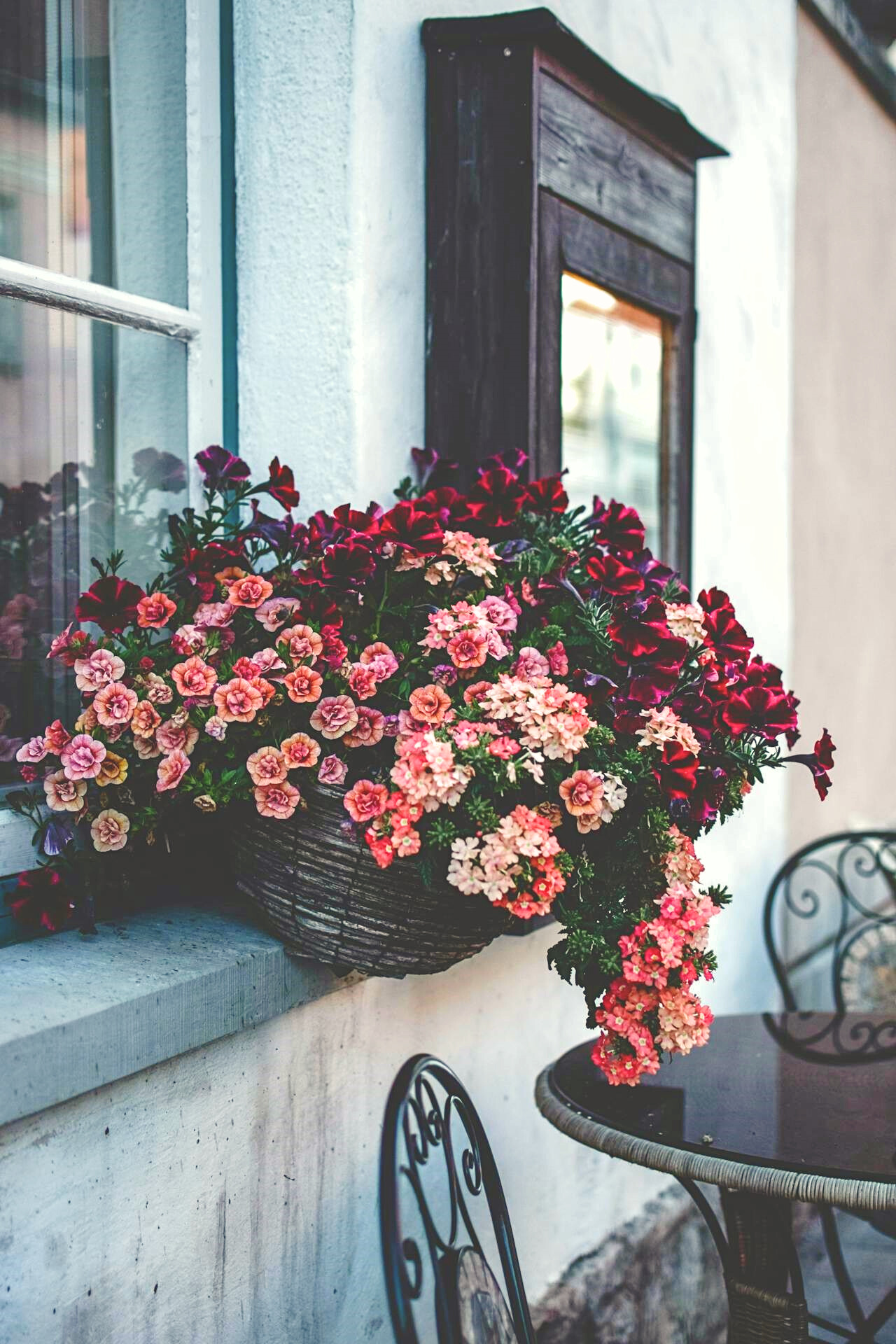 Roses Next To A Wall On A Terrace, Inspires To Decorate